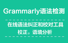 grammarly语法检测