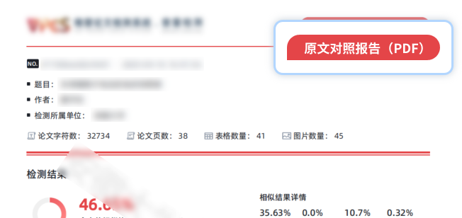 维普查重报告示例