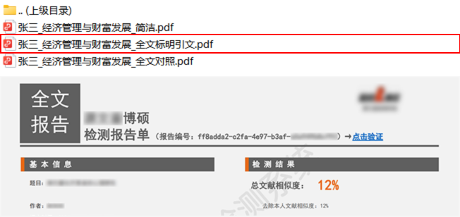 源文鉴查重报告示例